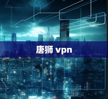 唐狮 vpn 唐狮 vpn