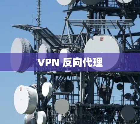 VPN 反向代理 VPN 反向代理