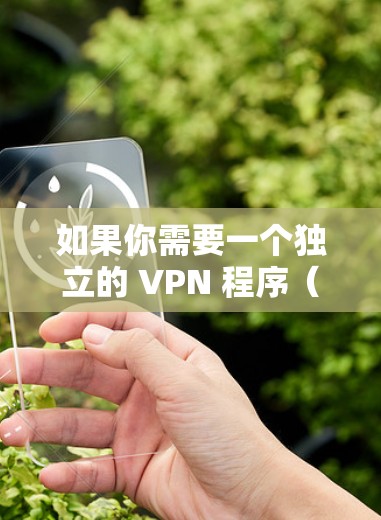 如果你需要一个独立的 VPN 程序（而非浏览器扩展或内置功能）以下是常见的选择和注意事项