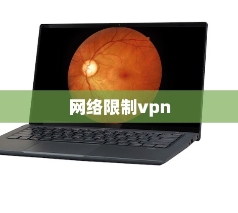 网络限制vpn